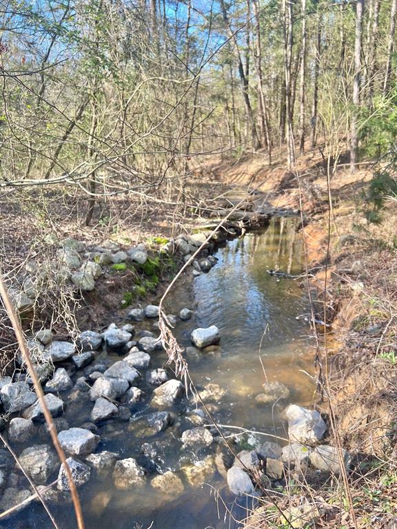 Tbd Cr 1670 Property Photo 12