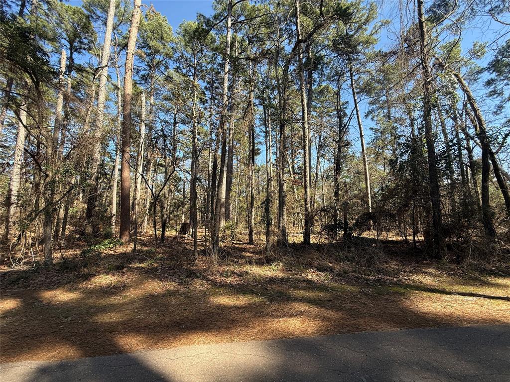 Lot 3 Private Road 8573 Property Photo 1