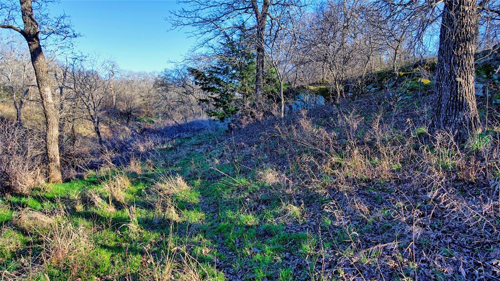 Tbd Longbranch Road Property Photo