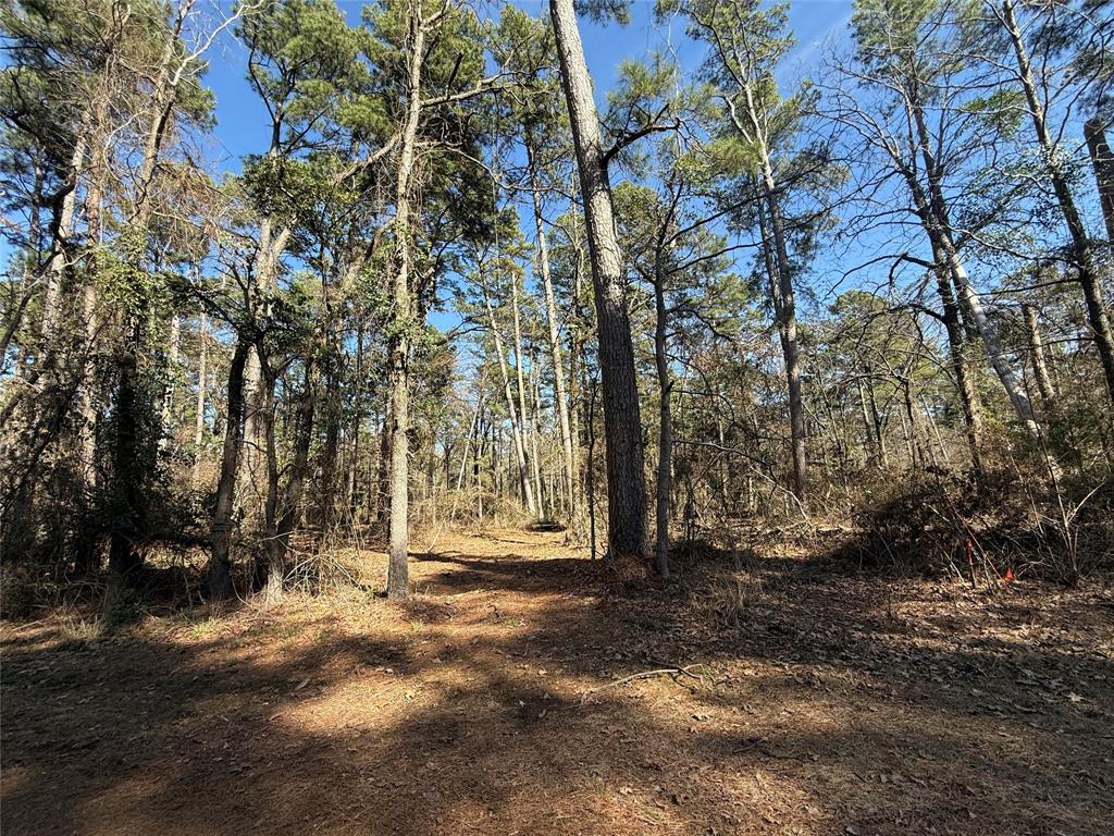 Lot 2 Private Road 8573 Property Photo 1