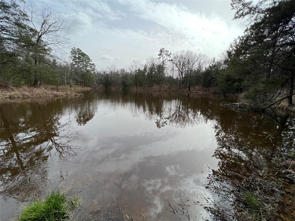 Tbd Cr 3343 Property Photo