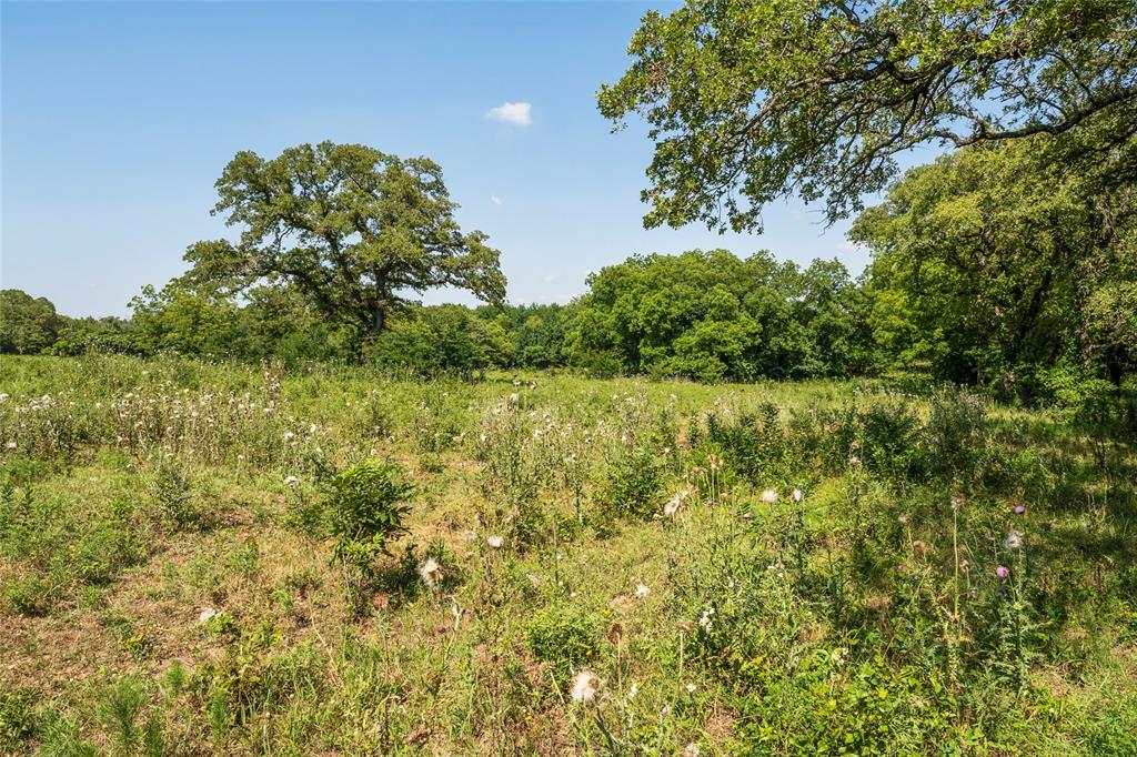 000 Stanford Road Property Photo 39