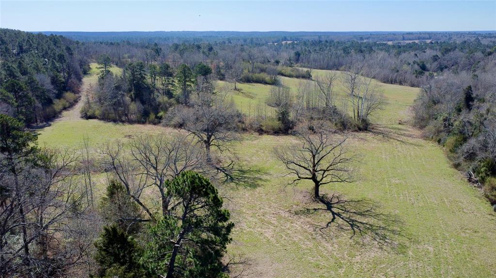 Tbd Hwy 11 Property Photo 1