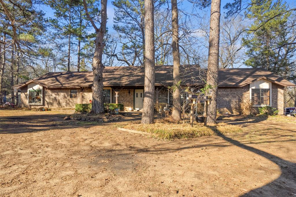 12869 Us Highway 259 Property Photo