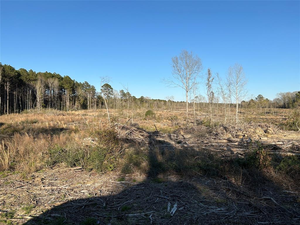 0 Murphrey Property Photo