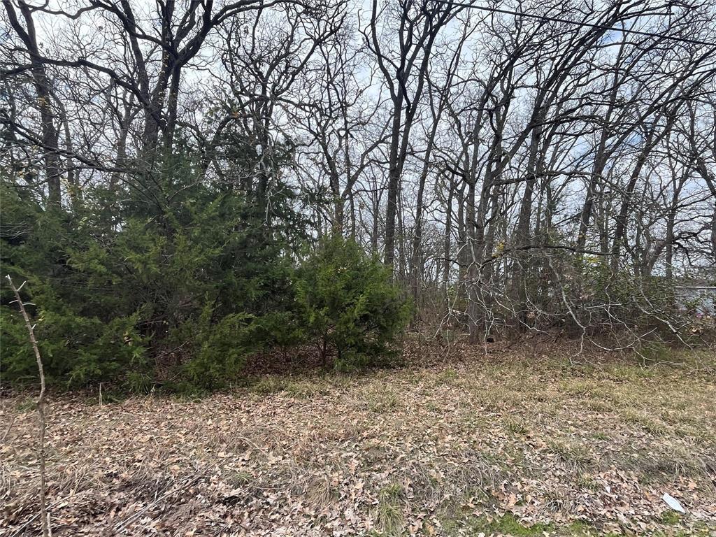 305 Sandy Lynn Property Photo