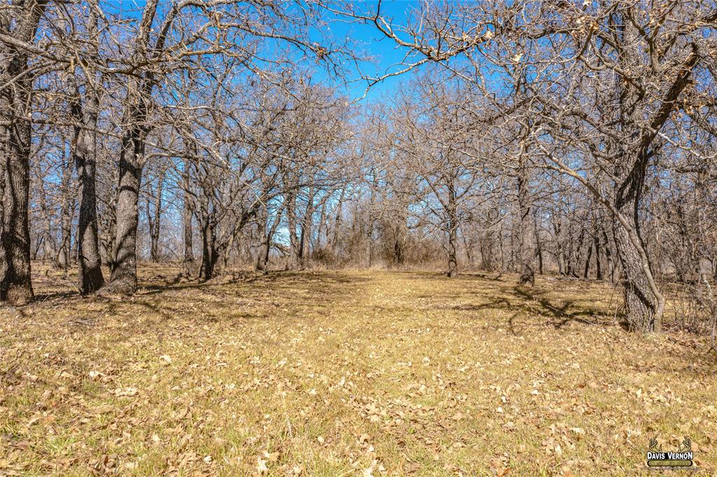 Clay County Real Estate Listings Main Image