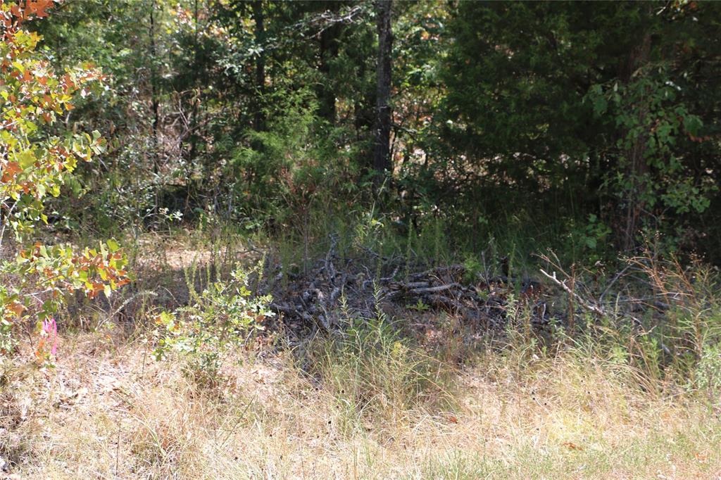 510 Fm-3062 Property Photo