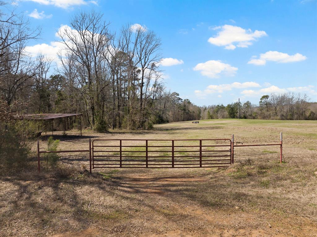 Tbd County Road 2737 Property Photo 1