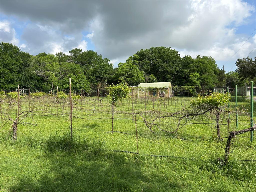 110 County Road 4270 Property Photo 9