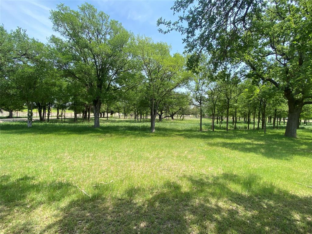462b Halsell Road Property Photo 28