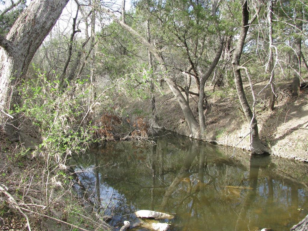 122.64 Acres Tbd Fm-116 Property Photo