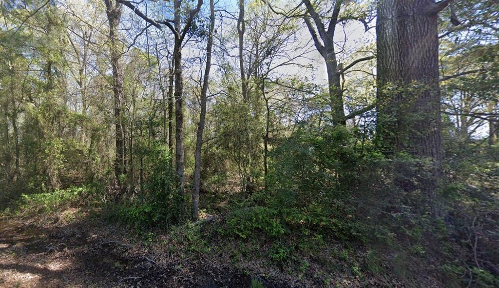 00 Calvin Liner Road Property Photo