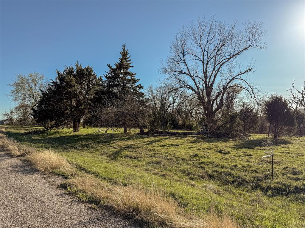 2077 Bluffview Lane Property Photo 19