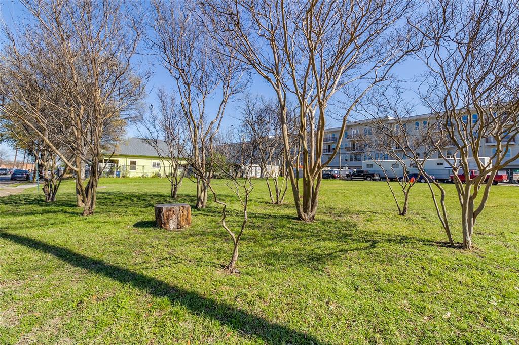 536 W 7th Street Property Photo 6