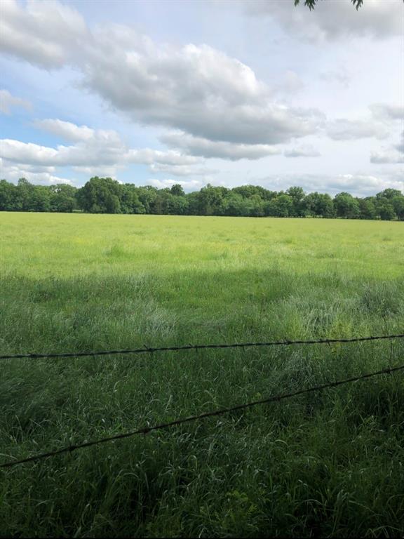 Tbd County Road 4612 Property Photo 1
