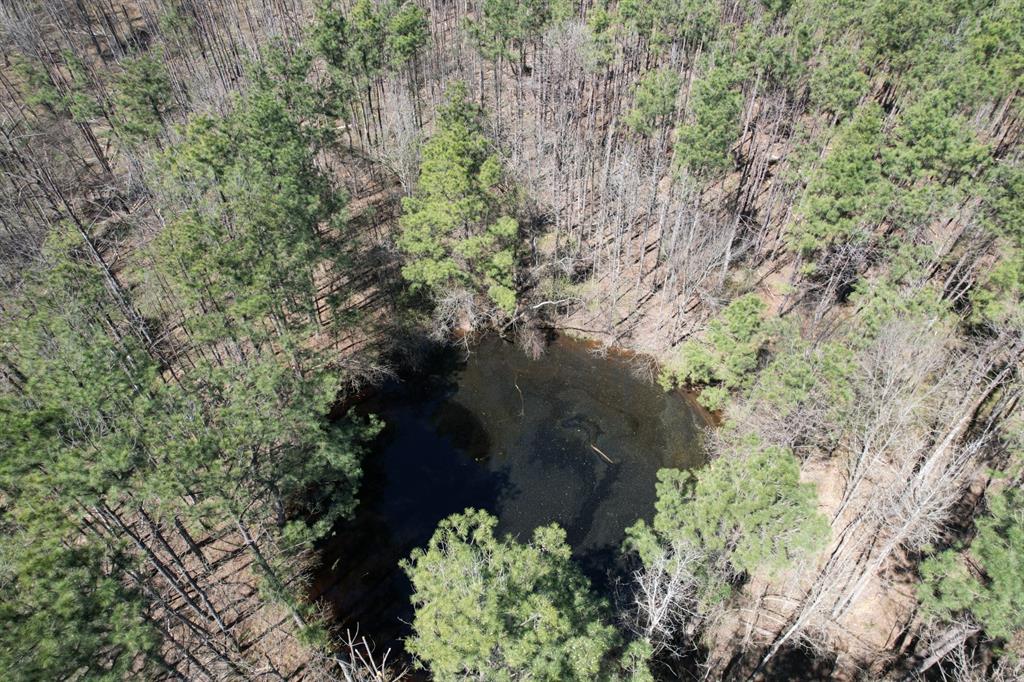 Tbd Billy Ray Rd Property Photo 1