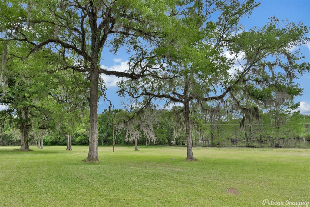 181 Pine Cove Circle Property Photo 6