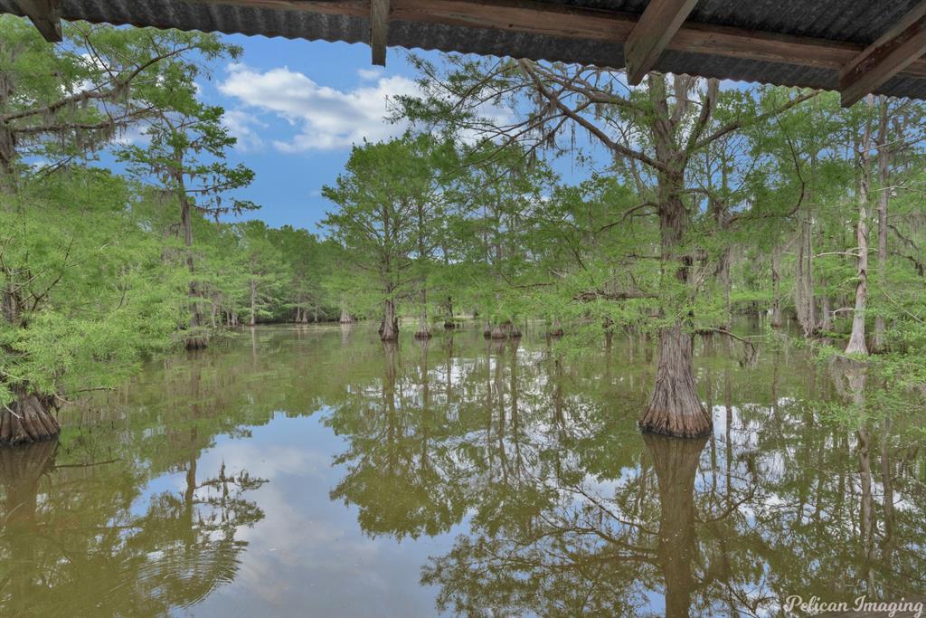 181 Pine Cove Circle Property Photo 27