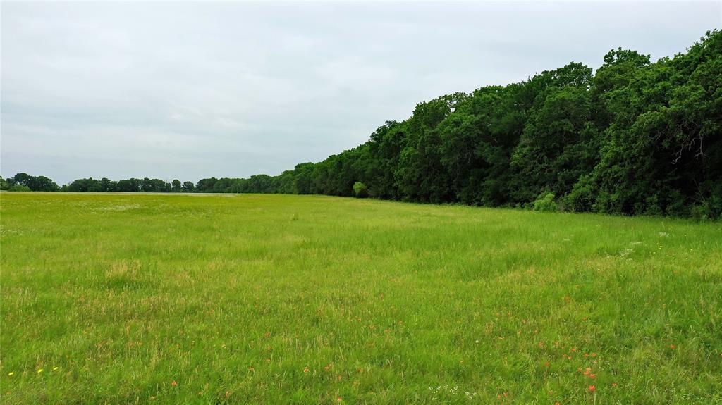 Tbd County Road 1242 Property Photo