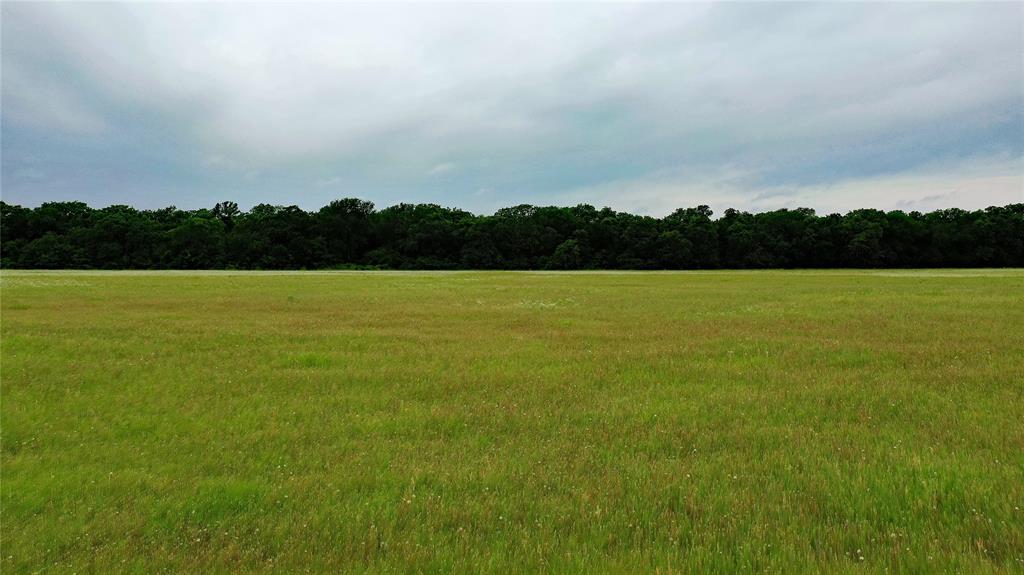 Tbd County Road 1242 Property Photo 4