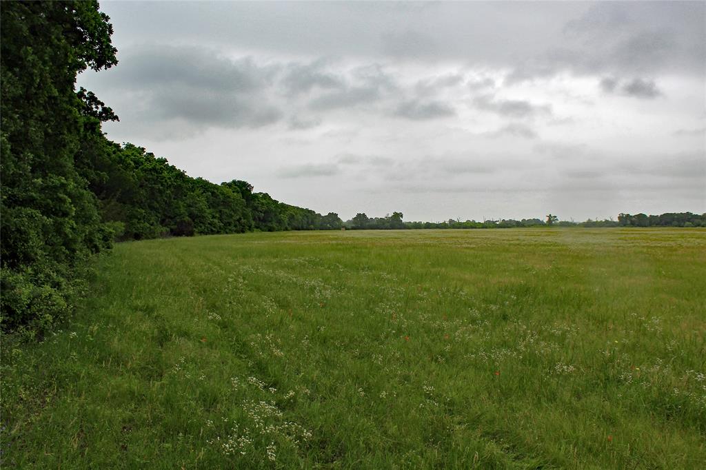 Tbd County Road 1242 Property Photo 7