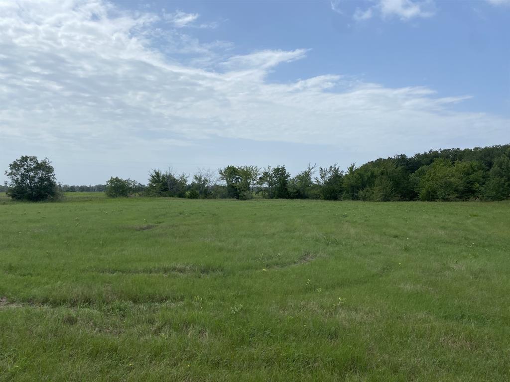 Tract 3 Tbd Cr 3631 Property Photo