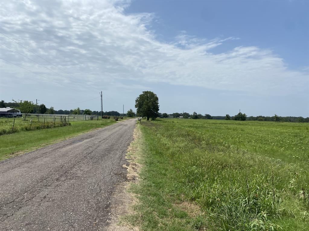 Tract 3 Tbd Cr 3631 Property Photo 4