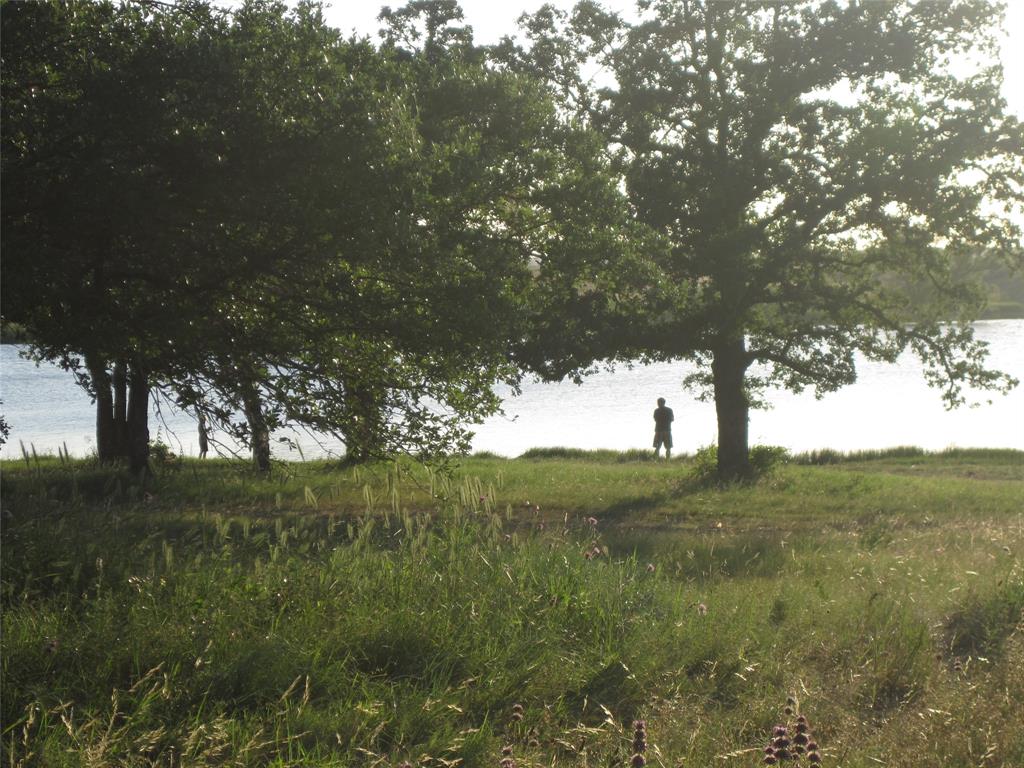 Tbd Miller Creek Lake Road Property Photo