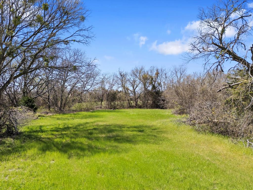 6409 Chiesa Road Property Photo 11
