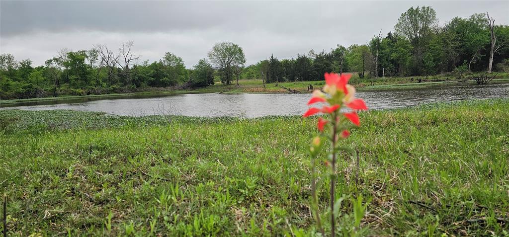 220 Private Road 6531 Property Photo