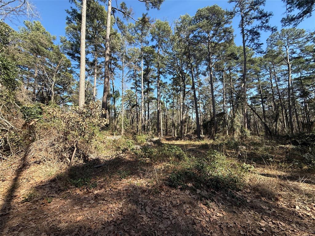 Lot 4 Private Road 8573 Property Photo 1