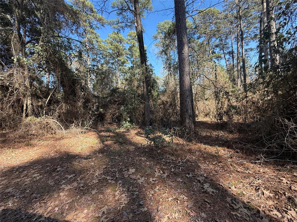 Lot 5 Private Road 8573 Property Photo 1