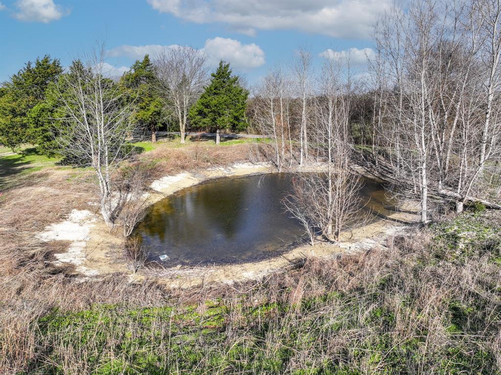 10024 S State Highway 121 Property Photo 21