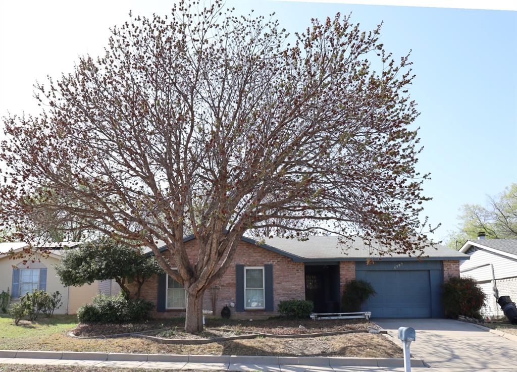 6505 Yarmouth Avenue Property Photo