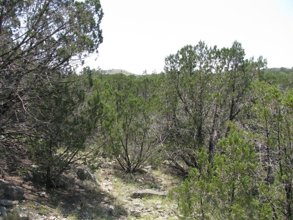 Lot 11 Ph 5 Private Road Property Photo 3