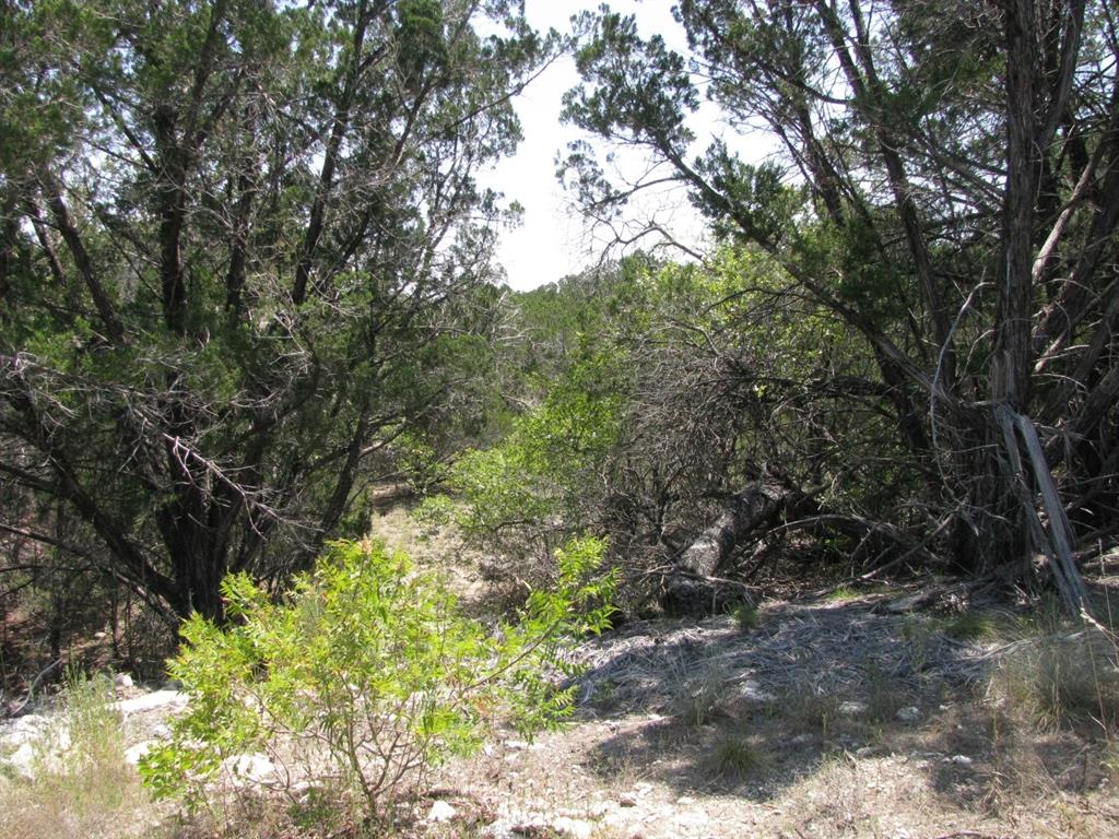 Lot 11 Ph 5 Private Road Property Photo 11