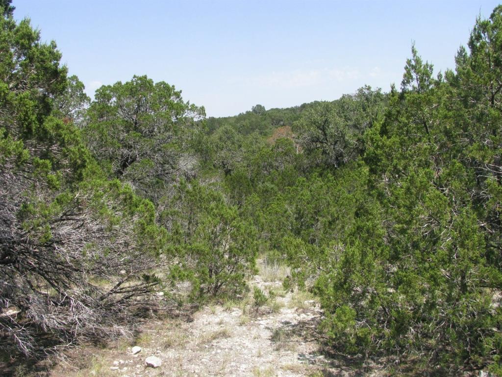 Lot 11 Ph 5 Private Road Property Photo 17