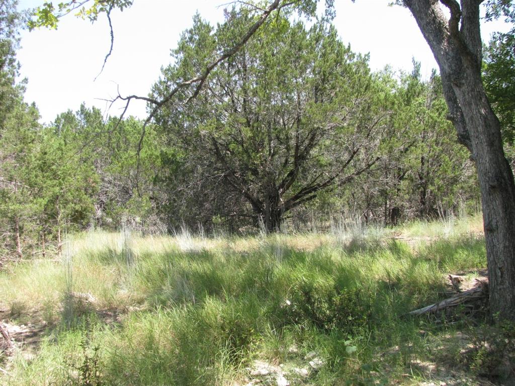 Lot 11 Ph 5 Private Road Property Photo 25