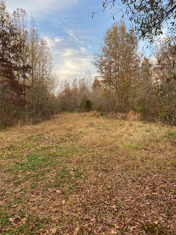 160 Zigler Road Property Photo 13