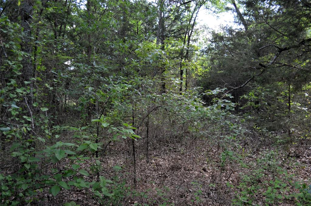 760 Vz County Road 2315 Property Photo 3