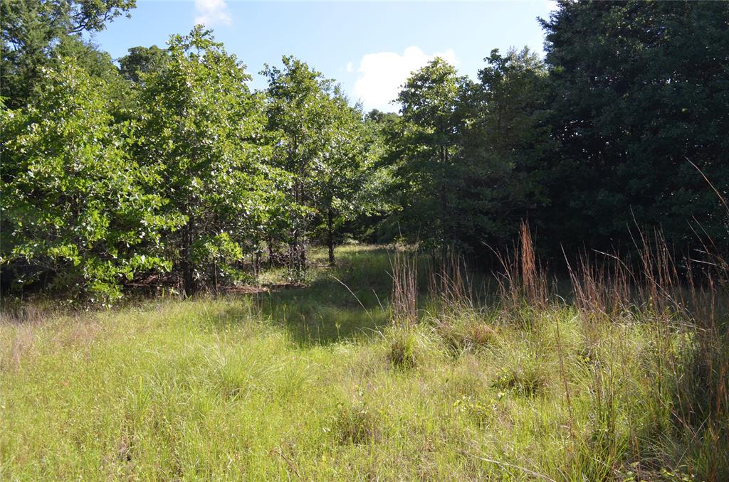 760 Vz County Road 2315 Property Photo 4