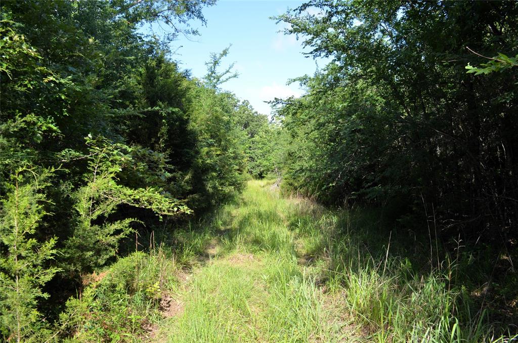 760 Vz County Road 2315 Property Photo 5