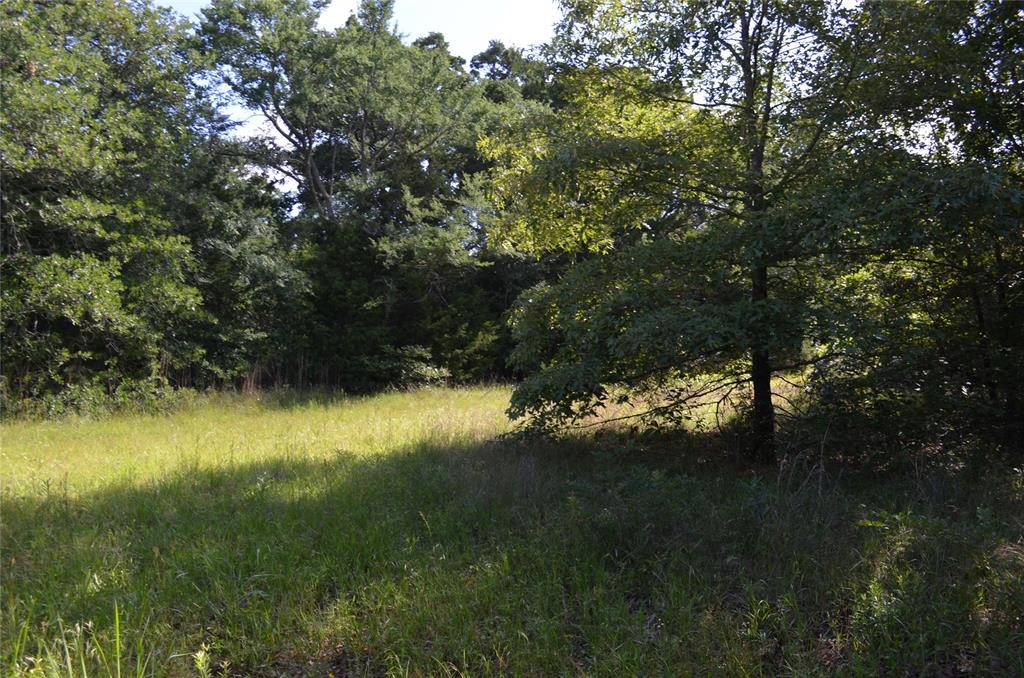 760 Vz County Road 2315 Property Photo 8
