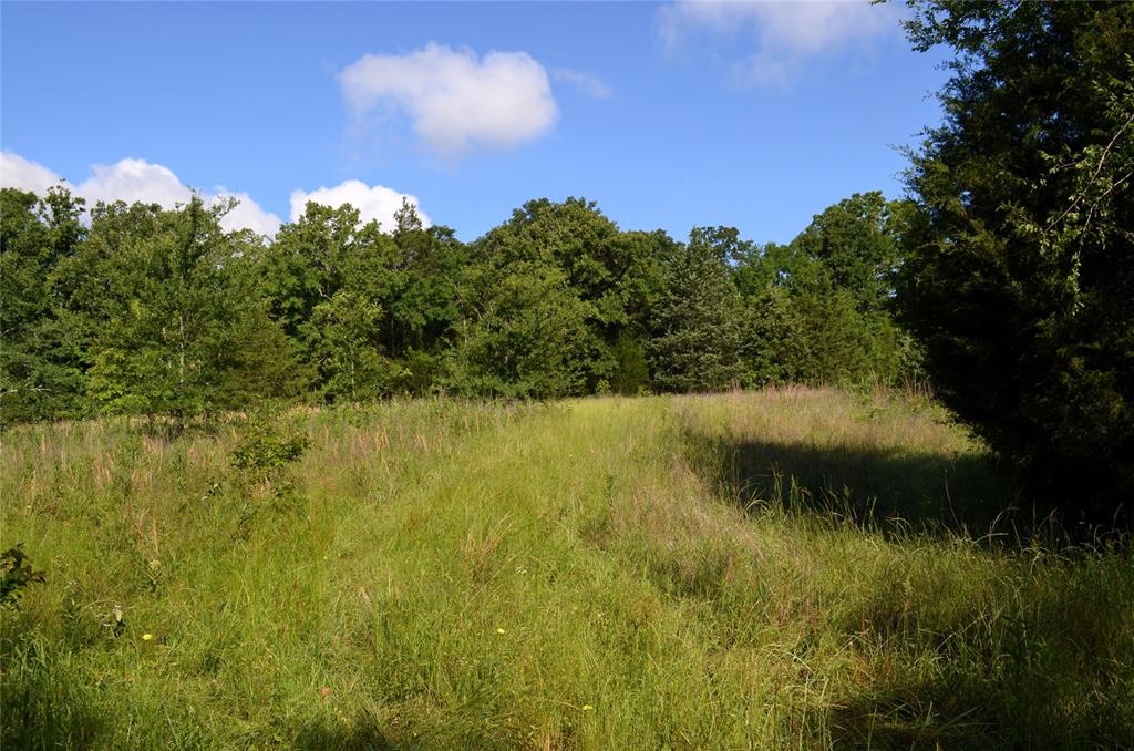 760 Vz County Road 2315 Property Photo 10
