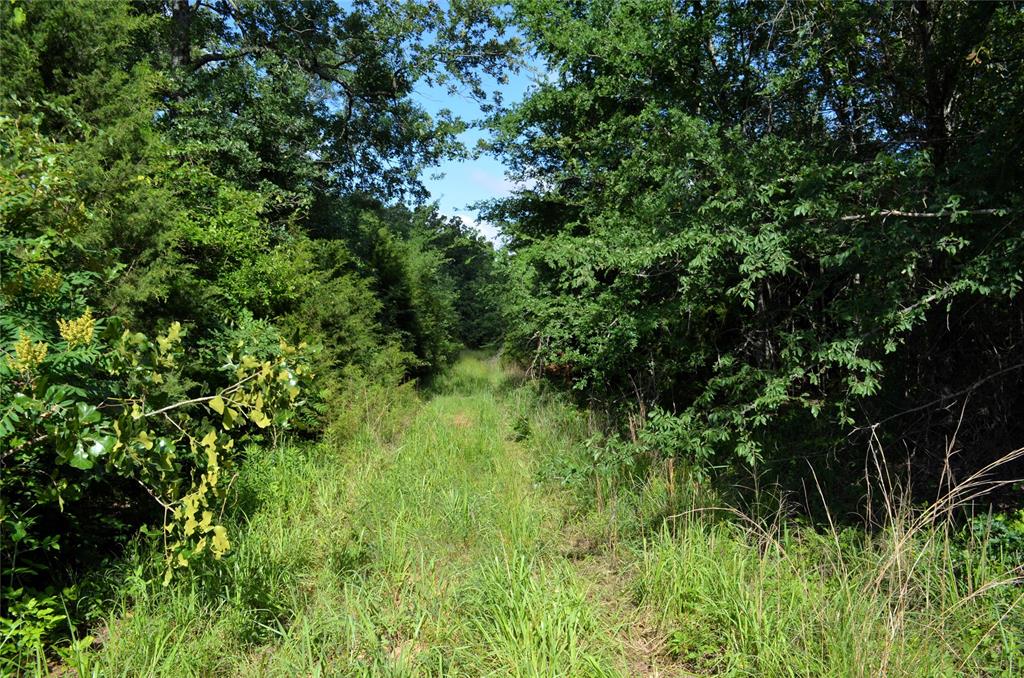760 Vz County Road 2315 Property Photo 11