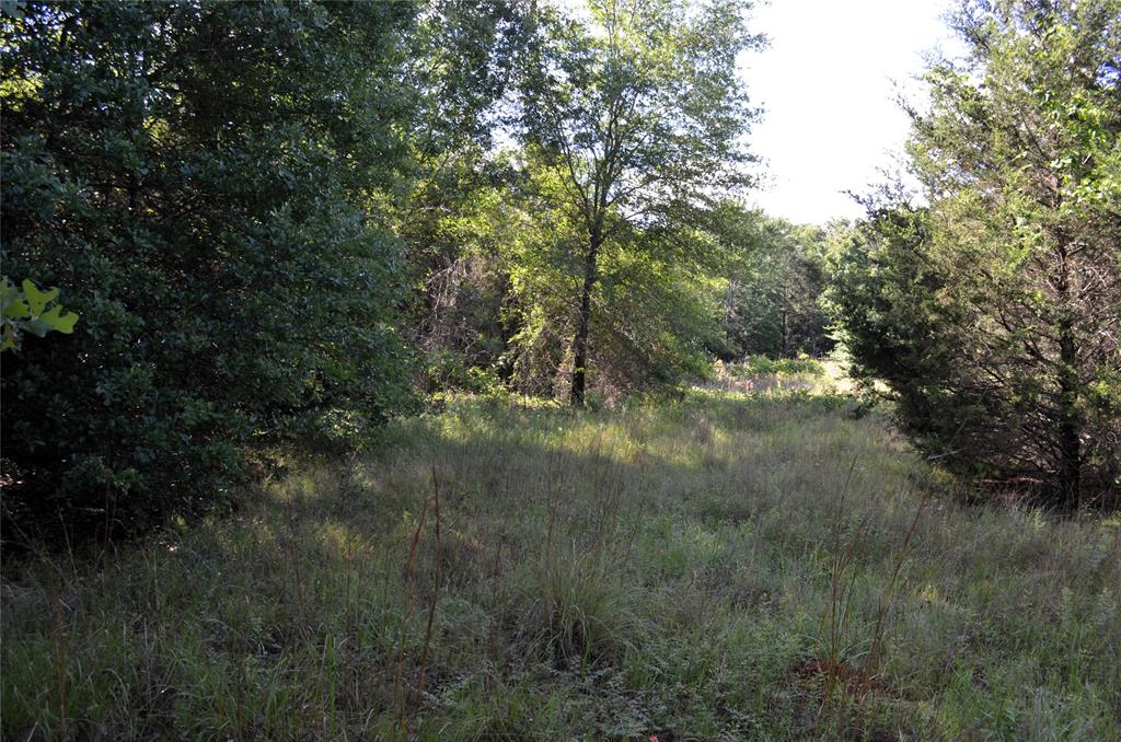 760 Vz County Road 2315 Property Photo 12