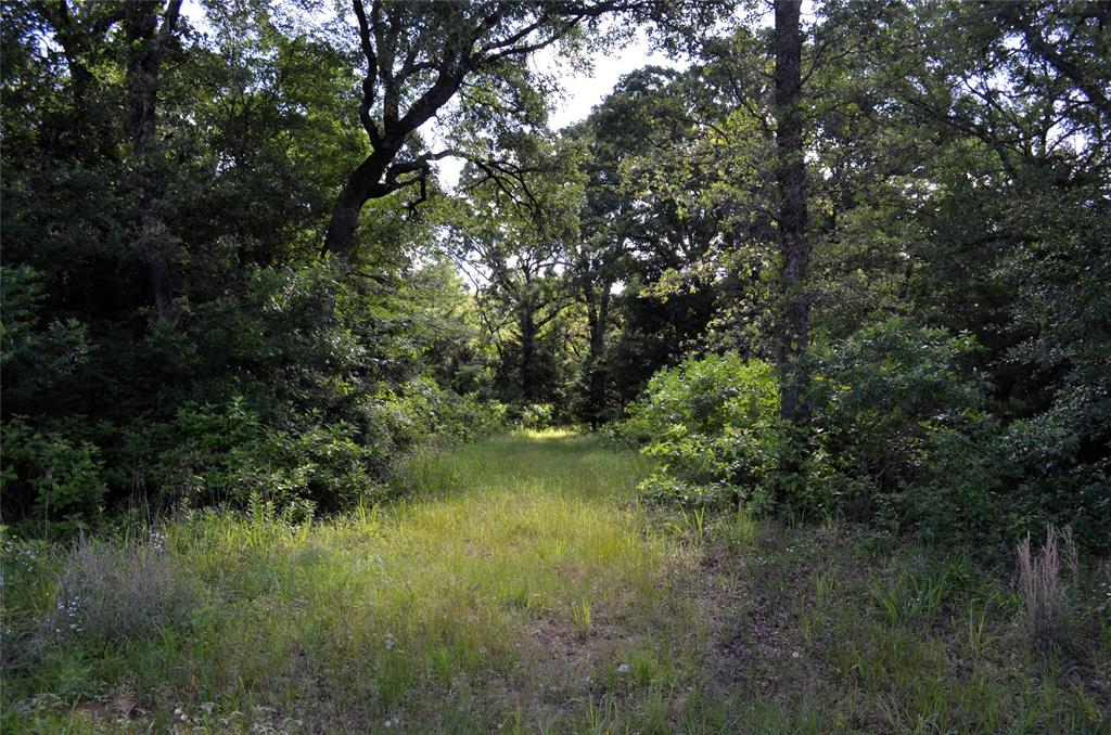 760 Vz County Road 2315 Property Photo 13