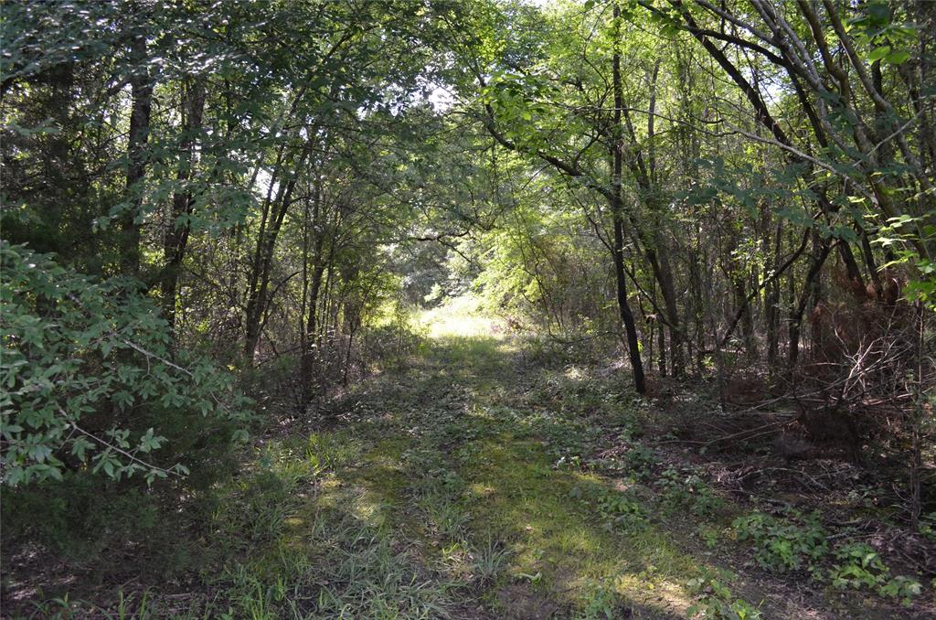 760 Vz County Road 2315 Property Photo 14