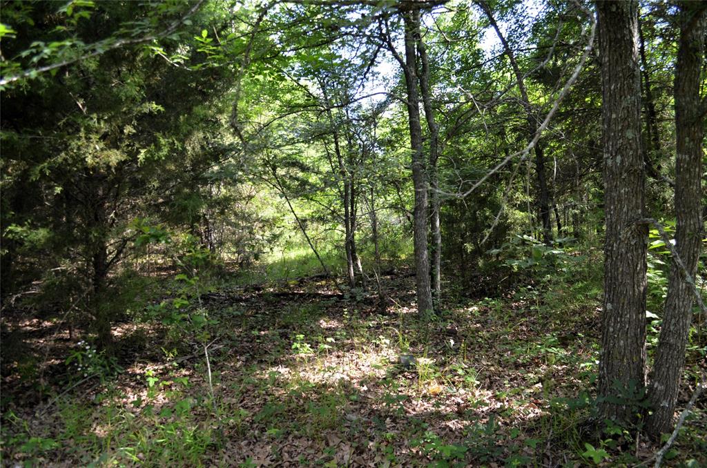 760 Vz County Road 2315 Property Photo 15